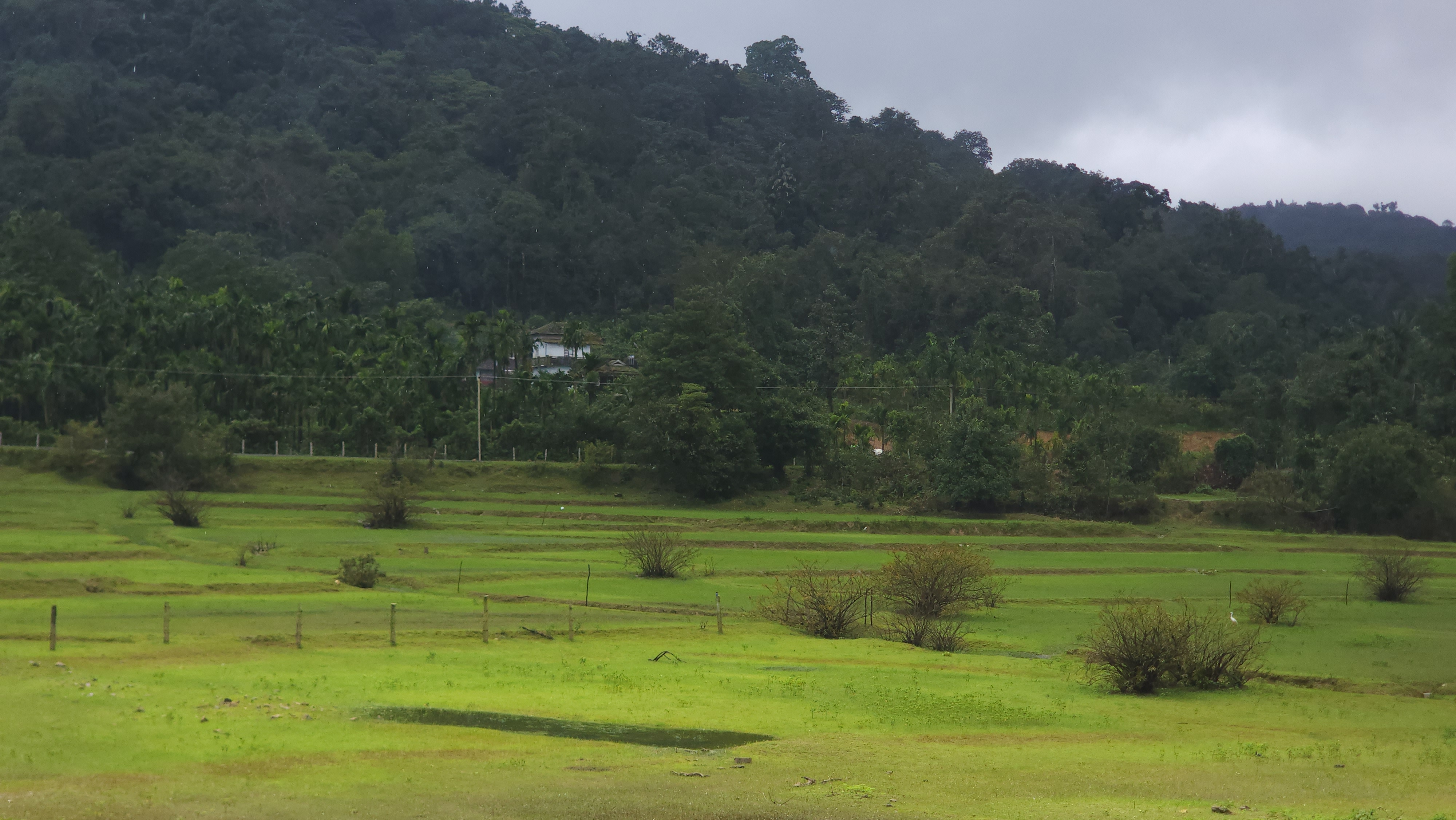 Backwaters